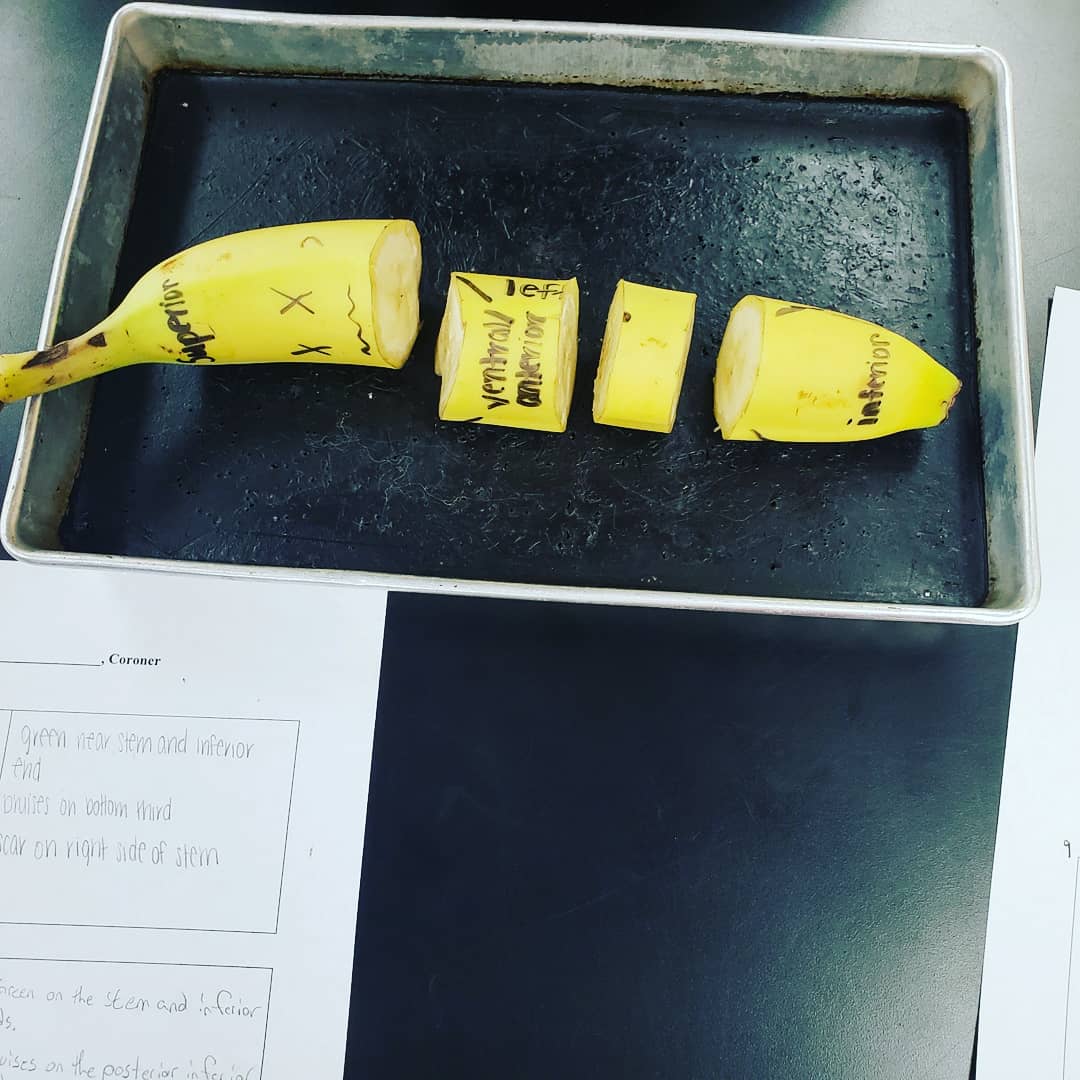 IMG_20180913_155031_615