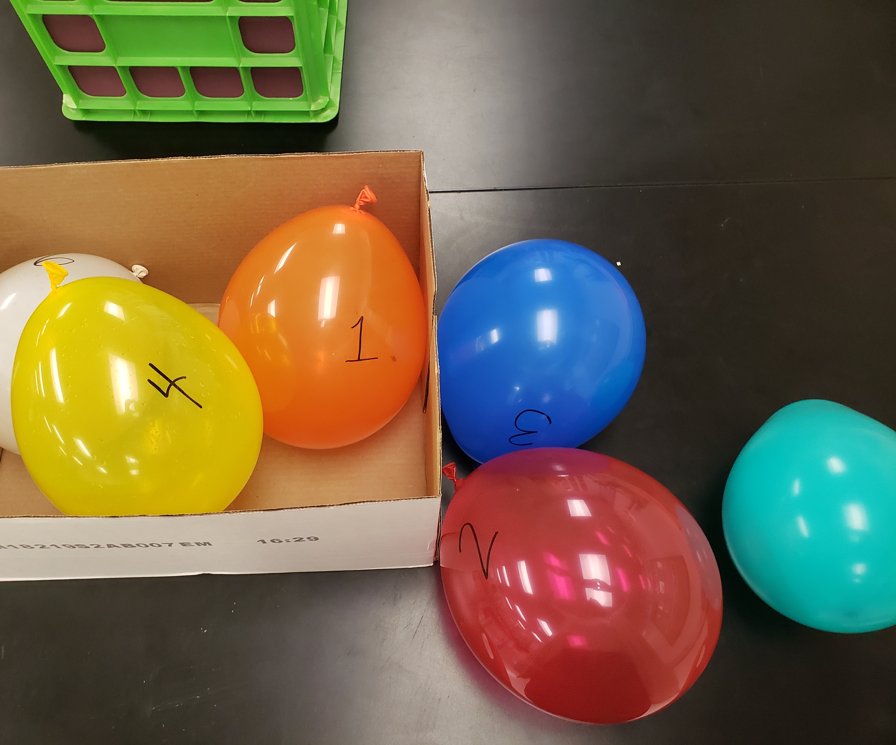 IMG_20181129_171704_794