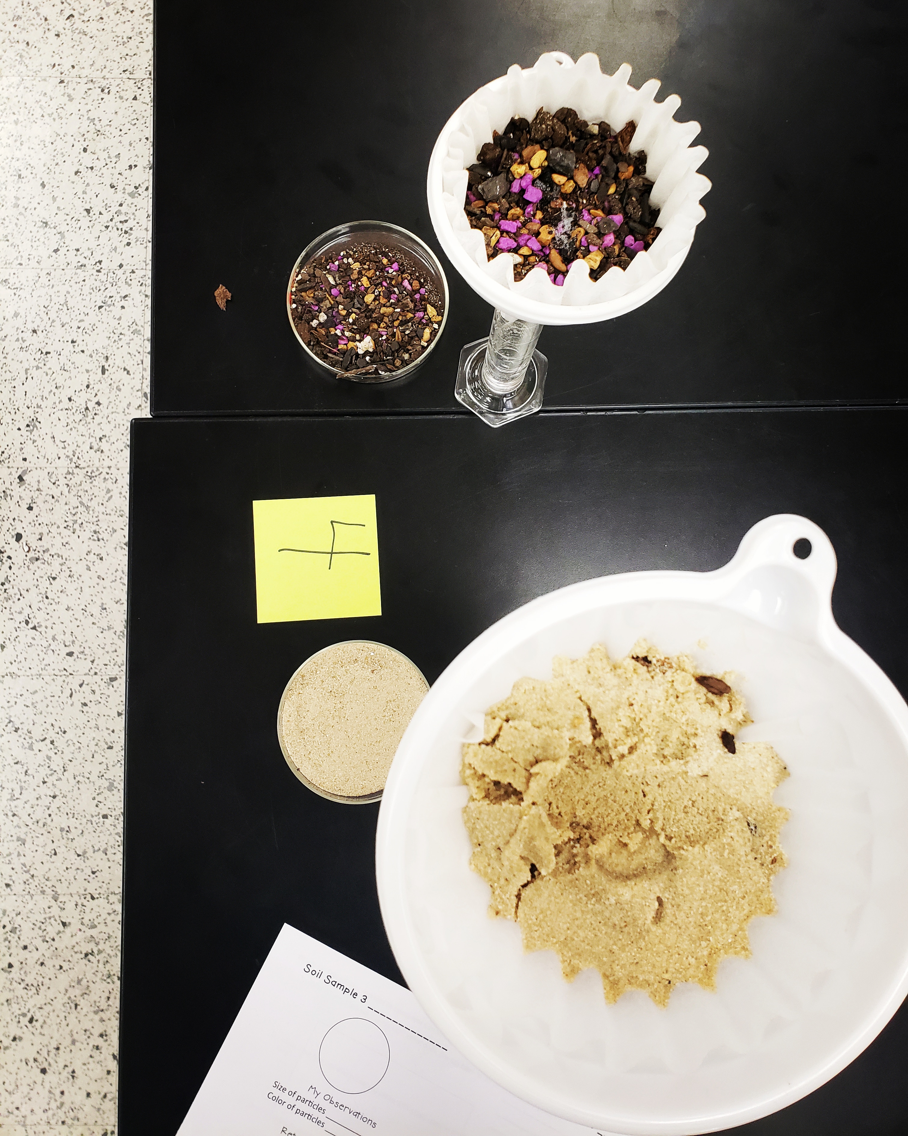 IMG_20190109_170437_757