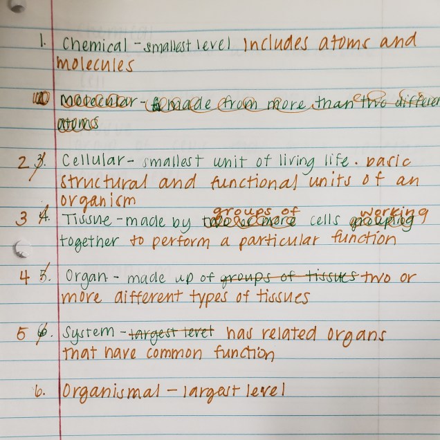 IMG_20190909_180623_304